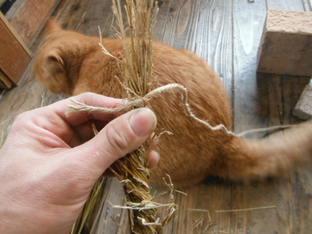 稲藁の束の先を麻ひもで結ぶ。