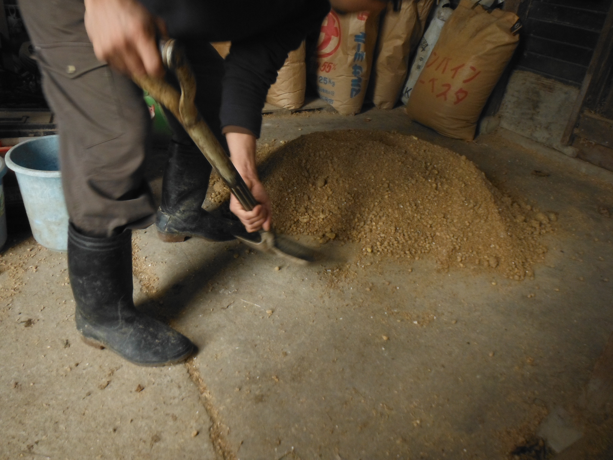 鶏の発酵飼料の作り方 自然養鶏法で飼っています 自給自足の小さな暮らしーろん農園ー