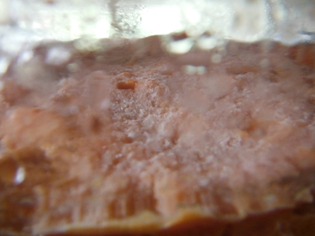 柿酢の酢酸発酵が進み、白い膜がうっすらと確認できる。
