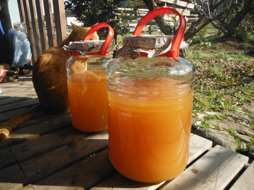 8Lびんと5Lビンに詰められた完成した柿酢が並ぶ。