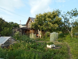 簡単な鶏小屋の作り方 セルフビルド 自給自足の小さな暮らしーろん農園ー