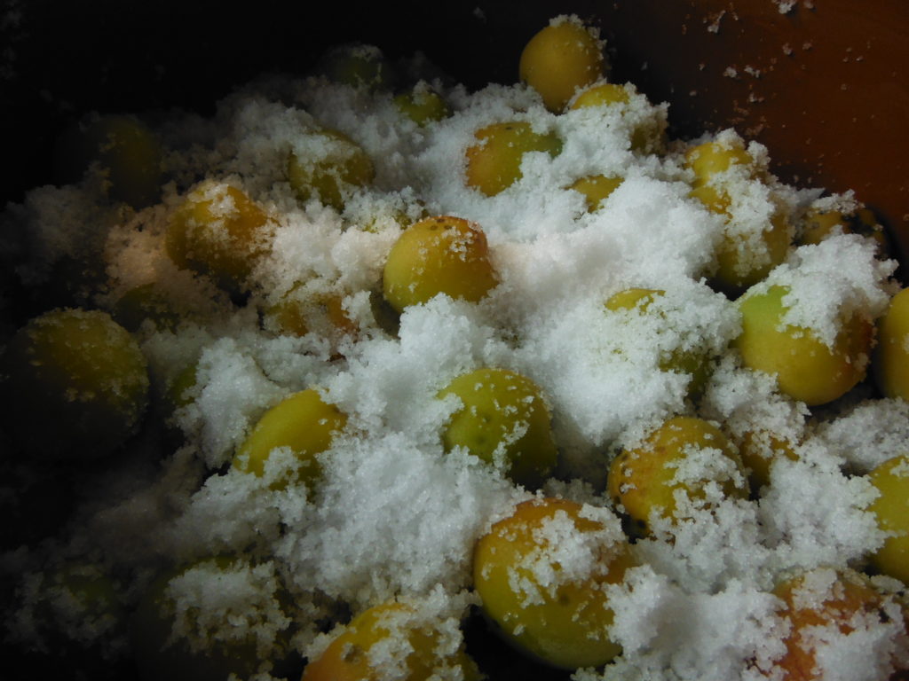 壺に完熟梅と塩を入れていく。