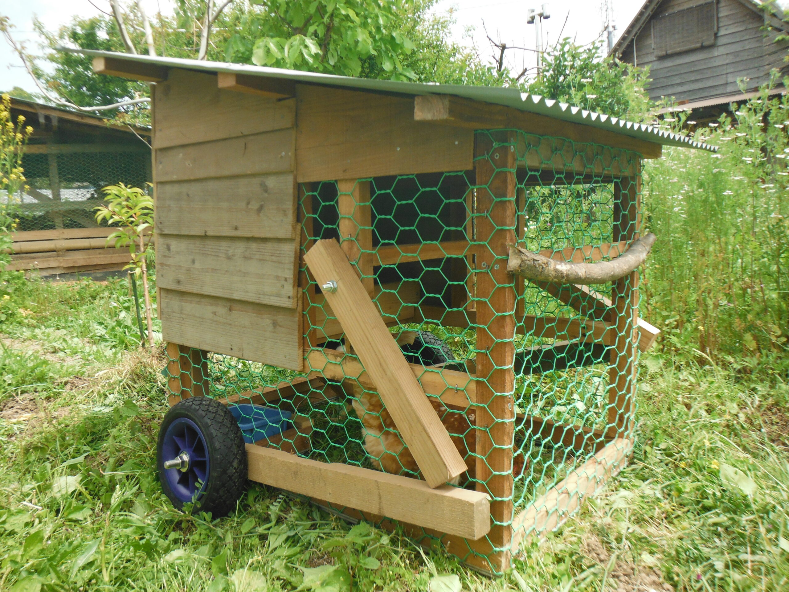 移動式鶏小屋 チキントラクター - その他