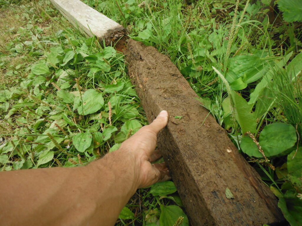 腐って折れた掘立柱。