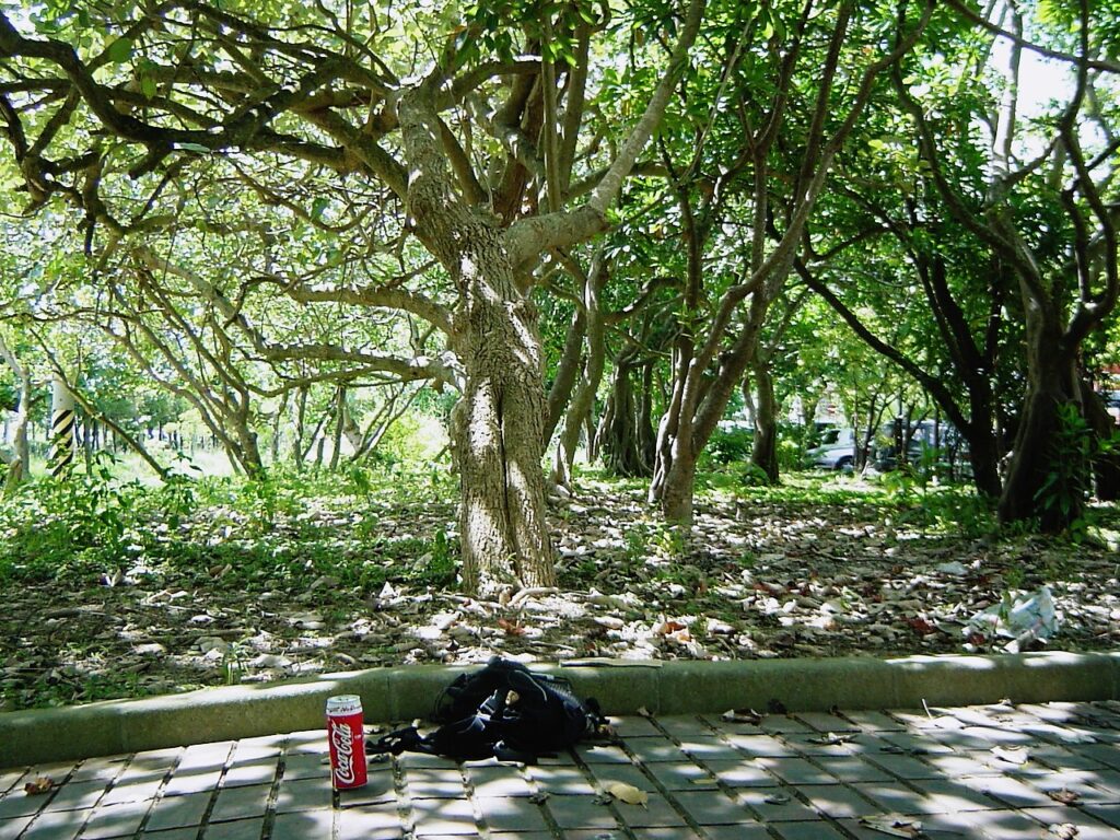 名護市の歩道の木陰で休憩する。
