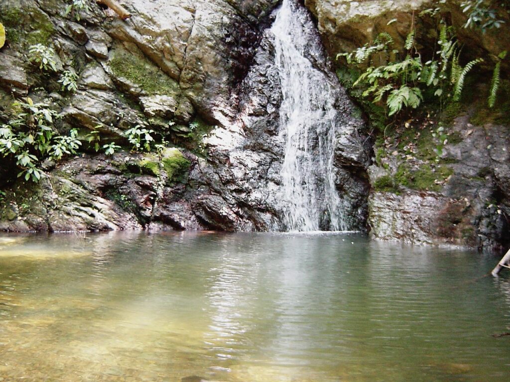 大宜味村の七滝。
