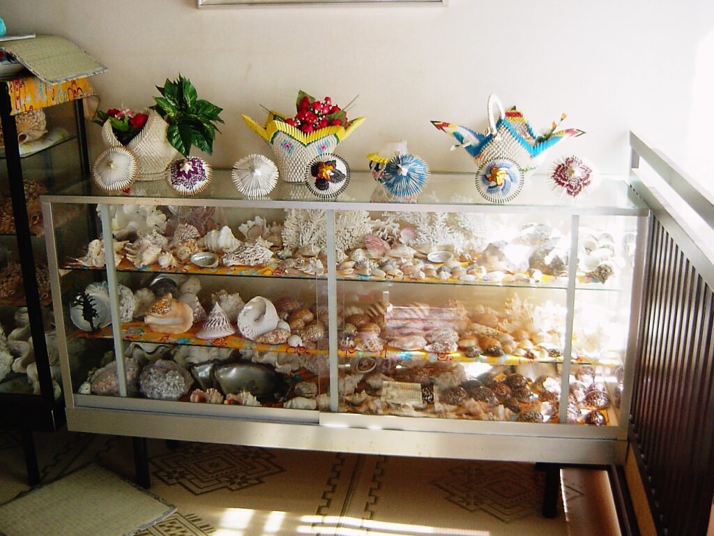 店内に飾ってある貝殻のコレクション。