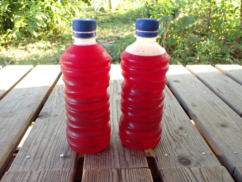 赤紫蘇ジュースの濃縮液。