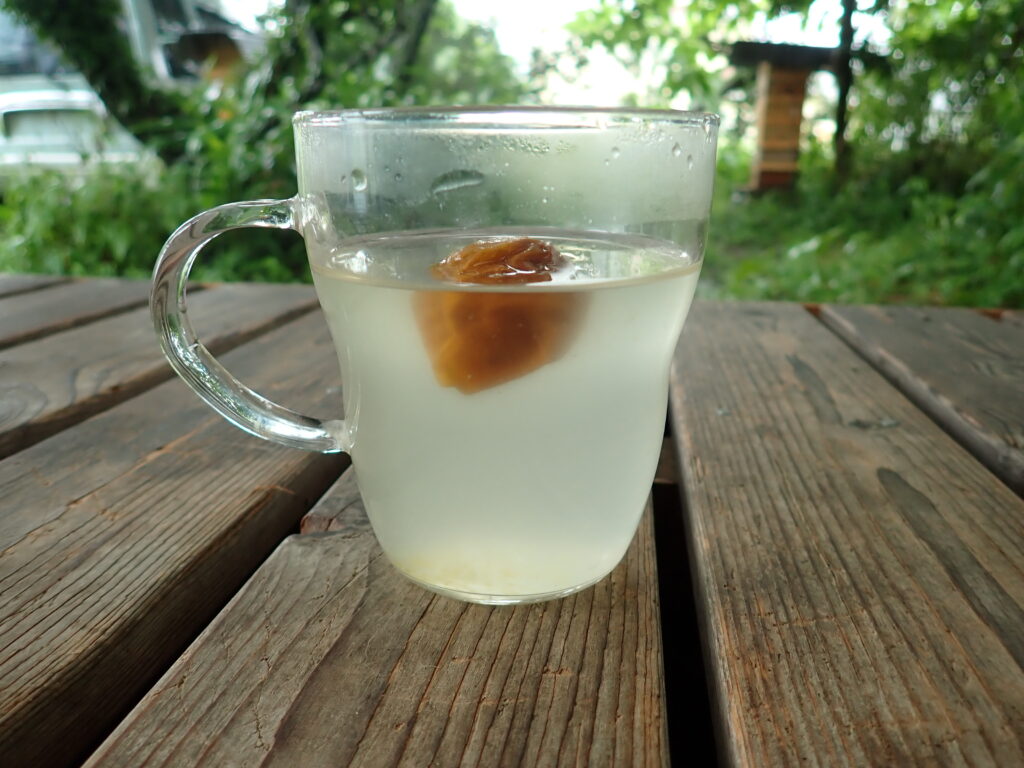 梅シロップをお湯で割って飲む