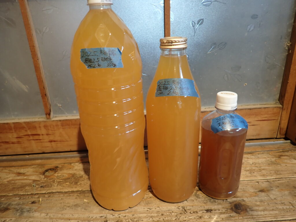 出来上がった梅のお酢を瓶に詰める。