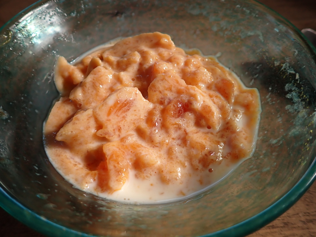 自家製の柿フルーチェ。