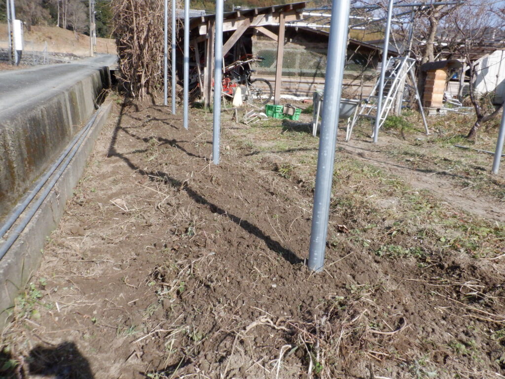 畝上げをしておく。