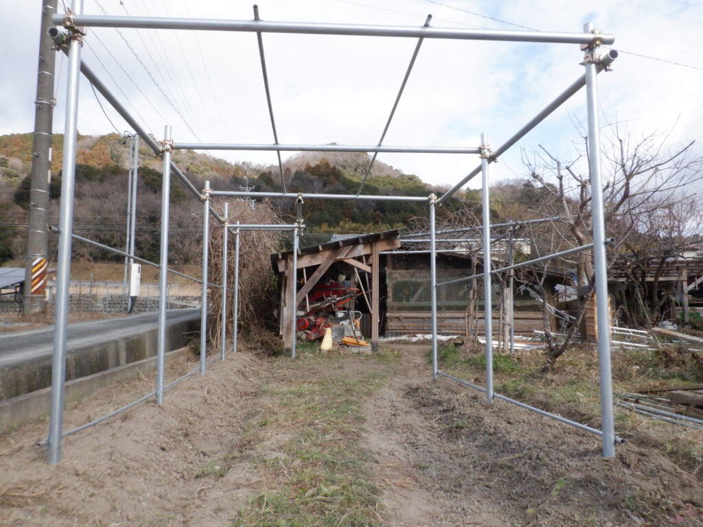 農業用パイプを固定していく。