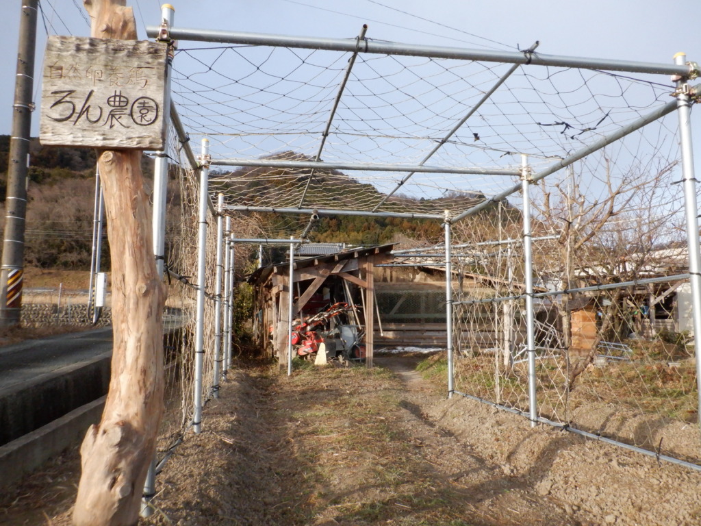 単管パイプを使ったパーゴラを作る。