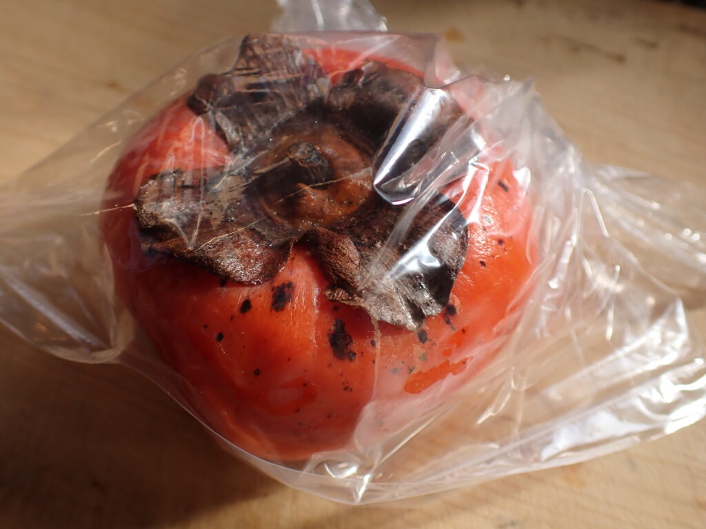 熟した柿をビニール袋に入れる。