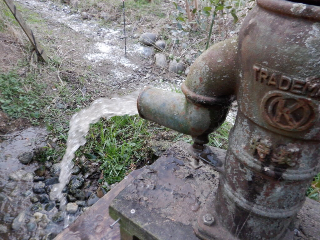 新しい木玉で、手押しポンプから勢いよく水が出る。