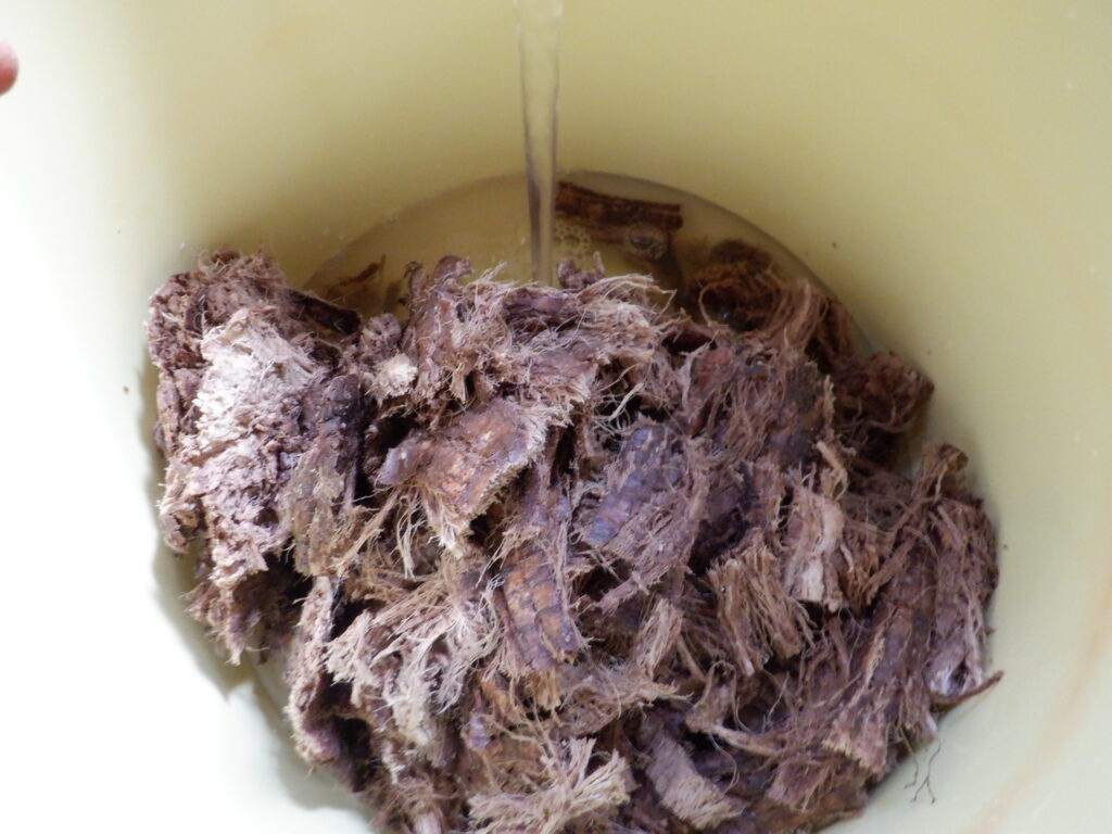 金槌で叩いて、繊維をほぐした葛を樽に入れる。