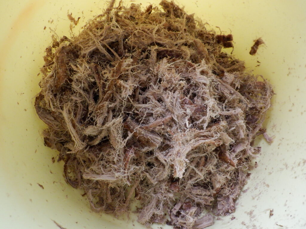 澱粉を溶かしだした残りの葛。