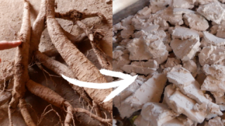 くず粉の作り方。